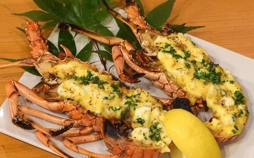 【冷凍】 天然 伊勢海老 特大 3.5kg（4～6尾） 黒潮町 ［1624］