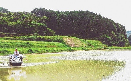 【 令和7年産 】 白米 10kg あさぎり 米 10キロ 香り米 精米 国産米 香米 おこめ アサギリ 空海ゆかりの里 うまにの おいしい お米 ふるさと納税米 ふるさと納税お米 2025年産 数量限定 期間限定 季節限定 高知 黒潮町[1700] 10kg