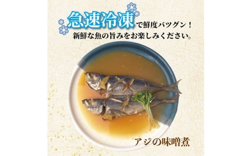 冷凍魚 セット 2kg (4~8種) 下処理済み 新鮮 真空パック 冷凍 魚 冷凍鮮魚 詰め合わせ 簡単調理 小分け 魚貝 魚介類 お魚 まるごと 土佐沖獲れ 旬 旬の魚 鮮魚 海鮮 料理 下処理 土佐佐賀産直出荷組合 高知 高知県 黒潮町［1714］