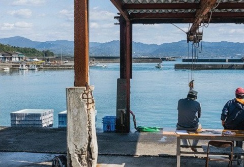 カネニのじゃこづくし 釜茹で ちりめん カチリ カエリ 4袋 セット 天然 天日干し ちりめんじゃこ じゃこ かまゆで チリメン 釜ゆで ジャコ 煮干し にぼし いりこ 詰め合わせ しらす しらす干し シラス 魚 お魚 海鮮 魚貝 魚介類 だし 出汁 おやつ おつまみ 高知 黒潮町 ［1095］