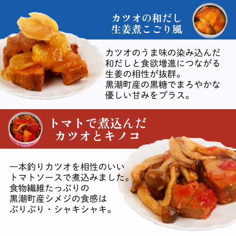 グルメ 缶詰 12缶 セット 時短 料理 ギフト 缶詰め 詰合せ 詰め合わせ 防災 災害 備蓄 非常食 おかず プレゼント 贈答用 贈り物 お歳暮 お中元 魚 海鮮 魚介類 魚貝 簡単調理 おかず お惣菜 かつお 鰹 カツオ ブリ大根 ブリ ぶり ぶり大根 日常食 惣菜 ふるさと納税缶詰 ふるさと納税防災 アウトドア キャンプ おつまみ 高知 黒潮町［1112］