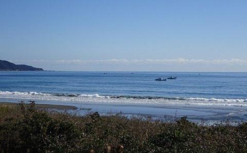 釜ゆで ちりめん 150g×10袋 しらす シラス干し じゃこ ちりめんじゃこ 天日干し 老舗 魚 海鮮 魚介類 魚貝 イワシ 小魚 料理 高知県 高知 黒潮町［1339-2］