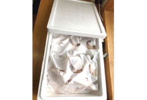 土佐沖 天然 さばフグ 切り身 鍋用 400g×2袋 約800g 冷凍 ふぐ 鯖フグ 鯖河豚 さばふぐ てっちり  ふぐちり 鍋 鍋セット 人気 新鮮 魚 魚介類 魚貝 海鮮 切身魚 から揚げ 煮付け ふるさと納税鍋 ふるさと納税河豚 ふるさと納税ふぐ 高知 高知県 黒潮町［1363-2］