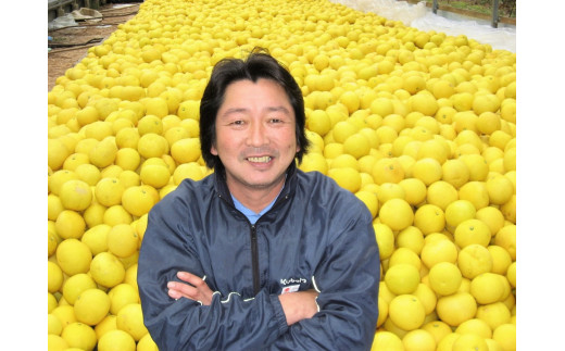 土佐文旦 5kg L〜3L ご家庭用 高知 黒潮町 文旦 ぶんたん 柑橘 フルーツ 果物 文旦5kg 家庭用文旦 9〜12個 皮むき器 ムッキーちゃん付き 産地直送 citrus 文旦セット 大玉 小玉 サイズ統一 高知文旦 国産文旦 柑橘類 旬 果物セット［1462］