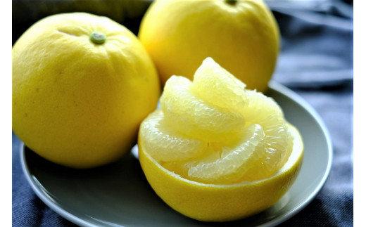 土佐文旦 10kg L〜3L ご家庭用 高知 黒潮町 文旦 ぶんたん 柑橘 フルーツ 果物 文旦10kg 家庭用文旦 大玉 小玉 サイズ統一 17〜25個 皮むき器 ムッキーちゃん付き 産地直送 文旦セット 柑橘類 旬 文旦 高知文旦 citrus 国産文旦 果物セット［1463-2］