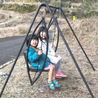 家庭用 ブランコ リーフハンドル ワイドタイプ ツヨニー ガーデニング アウトドア アウトドアグッズ 天然木 アイアンウッド インテリア ぶらんこ おもちゃ プレゼント ギフト 贈り物 高知県 黒潮町［(S)1586］