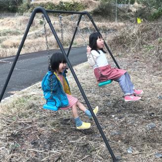 ブランコ 家庭用 2連式 ワイドタイプ ツヨニー ガーデニング 庭 アウトドア インテリア オブジェ お祝い プレゼント 簡単 組み立て 高知 高知県 黒潮町［(S)1590-2］