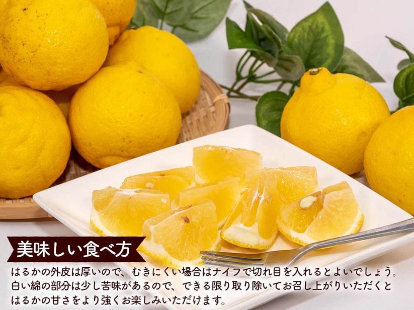 成田果樹園のはるか 3kg （家庭用）［1682］