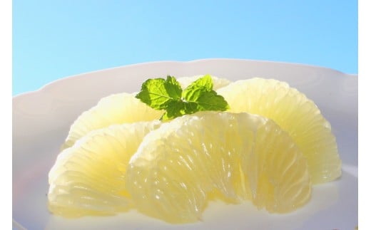 成田果樹園の土佐文旦 3kg （家庭用） L ~ 3L 混合 成田果樹園 文旦3kg 文旦L 文旦2L 文旦3L ぶんたん 文旦 柑橘 柑橘類 果物 フルーツ 文旦高知 高知文旦 高知 高知県 黒潮町 土佐 文旦 土佐文旦 文旦家庭用 家庭用 家庭用文旦 文旦黒潮町 文旦成田果樹園 成田果樹園文旦 冬文旦 春文旦 ［1684］