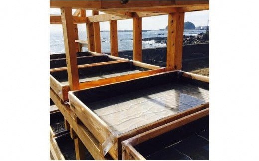 天日海塩 土佐 塩丸 食べ比べ お試し セット 30g×2袋 青丸1 白丸1 天日塩 自然塩 海水塩 粗塩 細かい塩 塩セット 調味料 小分け 塩丸青丸 塩丸白丸 下味塩 仕上げ塩 振り塩 料理用 塩 詰め合わせ 手作り塩 完全天日塩 高知 黒潮町 塩2袋 セット ［1705］