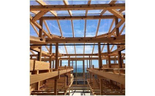 天日海塩 土佐 塩丸 青丸 お試し 30g×2袋 細かい粒 細粒 天日塩 自然塩 海水塩 調味料 塩 小分けセット 青丸塩 下味塩 料理用 塩 丸塩 塩2袋 食卓塩 使いやすい塩 高知 黒潮町 手作り塩 完全天日塩 こだわり塩 塩セット 塩 詰め合わせ  しお [1706]