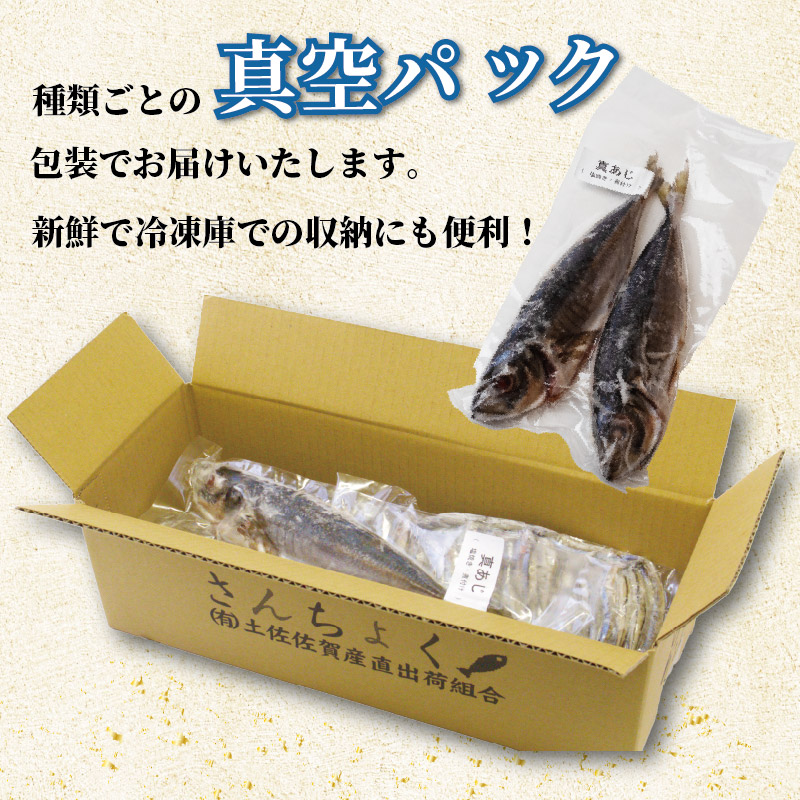 冷凍魚 セット 600g (2~3種) 下処理済み 新鮮 真空パック 冷凍 魚 冷凍鮮魚 詰め合わせ 簡単調理 小分け 魚貝 魚介類 お魚 まるごと 土佐沖獲れ 旬 旬の魚 鮮魚 海鮮 料理 下処理 土佐佐賀産直出荷組合 高知 高知県 黒潮町［1712］