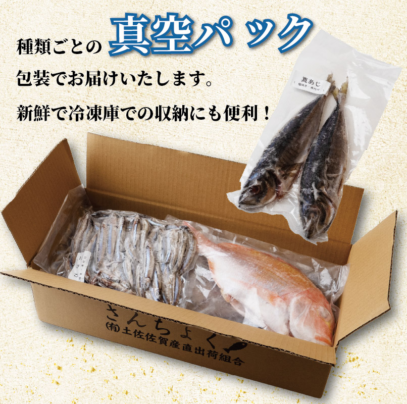 冷凍魚 セット 1kg (2~4種) 下処理済み 新鮮 真空パック 冷凍 魚 冷凍鮮魚 詰め合わせ 簡単調理 小分け 魚貝 魚介類 お魚 まるごと 土佐沖獲れ 旬 旬の魚 鮮魚 海鮮 料理 下処理 ふるさと納税1万円 10000円 1万円 土佐佐賀産直出荷組合 高知 高知県 黒潮町［1713］