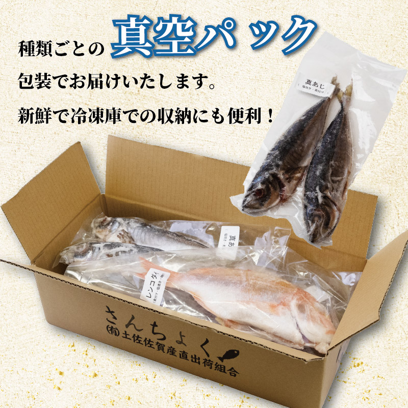 冷凍魚 セット 2kg (4~8種) 下処理済み 新鮮 真空パック 冷凍 魚 冷凍鮮魚 詰め合わせ 簡単調理 小分け 魚貝 魚介類 お魚 まるごと 土佐沖獲れ 旬 旬の魚 鮮魚 海鮮 料理 下処理 土佐佐賀産直出荷組合 高知 高知県 黒潮町［1714］