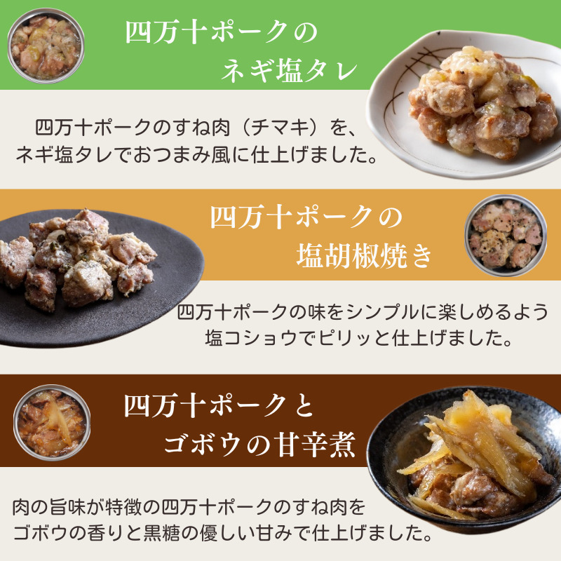 ブランド豚 四万十ポーク おつまみ 缶詰 3缶 セット 3種×各1缶 豚肉 豚 おかず プレゼント ギフト 贈答用 贈り物 お中元 お歳暮 肉 ポーク 酒の肴 日常食 ご褒美 惣菜 アレンジ 高級 缶詰め かんづめ 詰め合わせ ふるさと納税缶詰 高知 黒潮町 [1719]