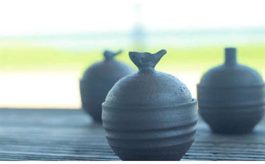 シロチドリ の 塩壷 と 塩さじ の セット（ 土佐 の海の 天日塩 「あまみ」 2袋付き）［1653］