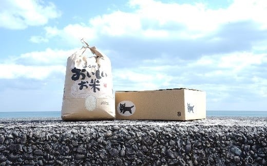 【 令和7年産 】 白米 10kg あさぎり 米 10キロ 香り米 精米 国産米 香米 おこめ アサギリ 空海ゆかりの里 うまにの おいしい お米 ふるさと納税米 ふるさと納税お米 2025年産 数量限定 期間限定 季節限定 高知 黒潮町[1700] 10kg