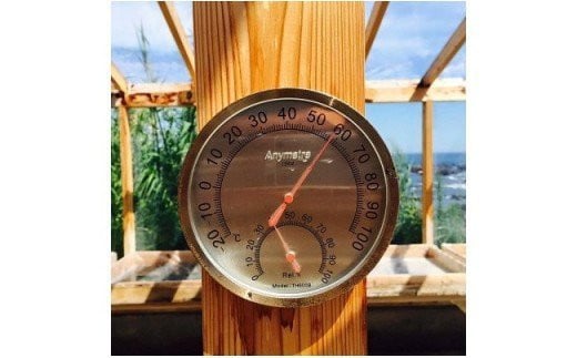 天日海塩 土佐 塩丸 青丸 お試し 30g×2袋 細かい粒 細粒 天日塩 自然塩 海水塩 調味料 塩 小分けセット 青丸塩 下味塩 料理用 塩 丸塩 塩2袋 食卓塩 使いやすい塩 高知 黒潮町 手作り塩 完全天日塩 こだわり塩 塩セット 塩 詰め合わせ  しお [1706]