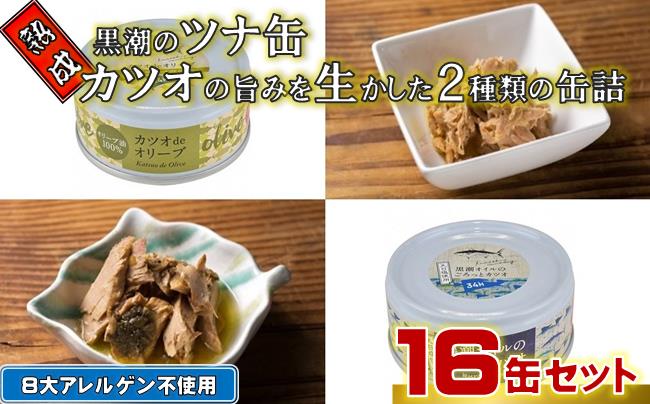熟成 黒潮 ツナ缶 2種 缶詰 16缶 セット ツナ 缶詰め 詰め合わせ 鰹 かつお カツオ ツナ缶詰 防災 災害 備蓄 非常食 おかず プレゼント ギフト 贈答用 贈り物 お中元 お歳暮 魚 魚介類 魚貝 海鮮 日常食 アレンジ 惣菜 サラダ 副菜 高級 かんづめ オリーブオイル 天日塩 ふるさと納税缶詰 ふるさと納税防災 高知 黒潮町 ［1117］
