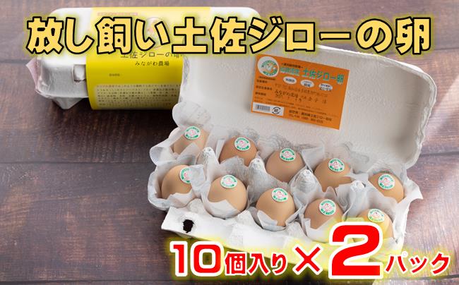 放し飼い 土佐ジロー 卵 20個 入り 土佐 地鶏 地鶏卵 天然卵 たまご 玉子 特産品 濃厚 卵かけご飯 TKG だし巻き卵 プリン 茶碗蒸し スイーツ 焼き菓子 人気 高知 黒潮町 ふるさと納税卵 高知県［1177］