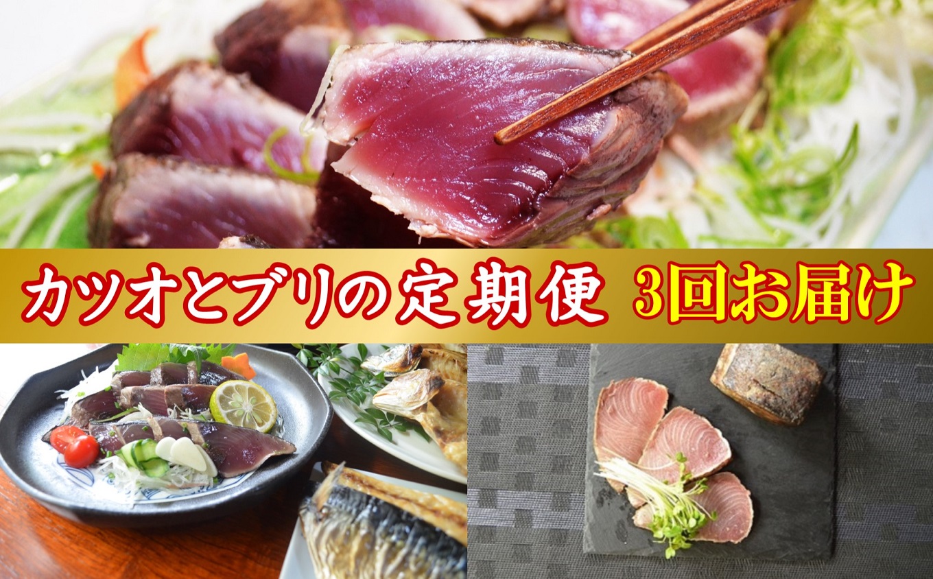 3回定期便 ブリのたたき 藁焼き 鰹のたたき 干物 初鰹 戻り鰹 天然 鰤 わら焼き かつおのたたき 鰤のたたき ぶり カツオ カツオのたたき おまかせ 定期便 3回 魚 新鮮 海鮮 魚介類 魚貝 刺身 刺し身 お刺身 さしみ ひもの 焼き魚 おかず 惣菜 おつまみ 簡単調理 ふるさと納税かつお ふるさと納税ぶり ふるさと納税定期便 高知 黒潮町［(H)1226-02］