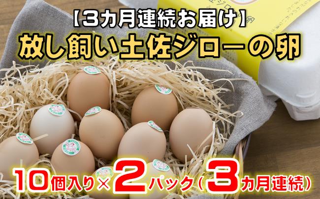 【 3カ月連続お届け 】 放し飼い 土佐ジロー 卵 20個 入り 3ヶ月 定期便 3回 土佐 地鶏 たまご地鶏卵 天然卵 特産品 玉子 濃厚 卵かけご飯 TKG だし巻き卵 人気 高知 黒潮町 ふるさと納税卵［(H)1238］