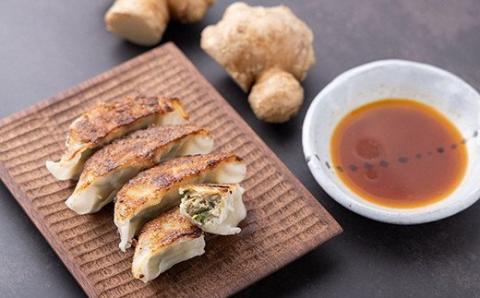 かつお ギョウザ 生姜 入り 3パック セット カツオ ぎょうざ ご当地 鰹 餃子 お惣菜 冷凍食品 おかず 惣菜 おつまみ つまみ 簡単調理 海鮮 魚介類 魚貝 魚 お魚 ショウガ しょうが 徳吉丸 高知 黒潮町［1284-2］