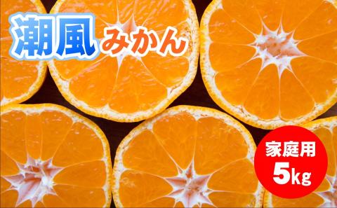 商標登録 潮風みかん 5kg ( ご家庭用 ) みかん ミカン 蜜柑 柑橘 果物 フルーツ 高知県 高知 黒潮町［1289］