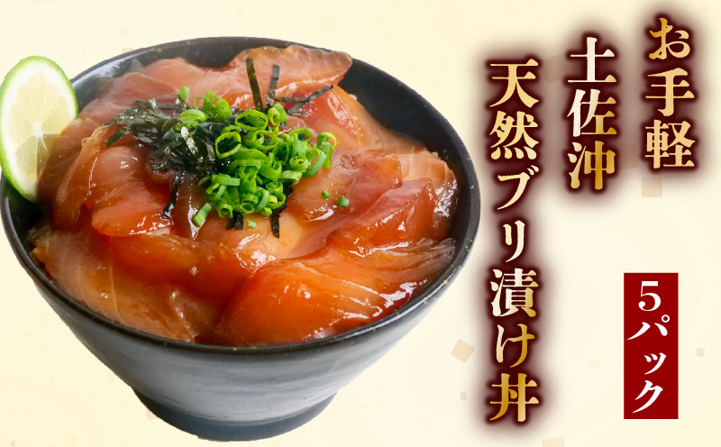 天然 ぶり 漬け丼 80g×5袋 鰤 ブリ丼 海鮮丼 海鮮丼の具 漬け丼の素 手軽 便利 惣菜 時短 簡単調理 おかず 魚 海鮮 魚介類 刺し身 刺身 お刺身 惣菜 お惣菜 おつまみ ふるさと納税漬け丼 ふるさと納税海鮮丼［1305］