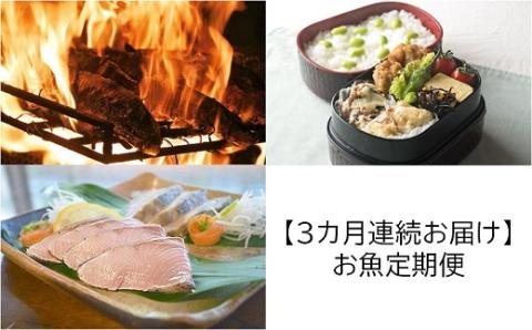 3回定期便 お魚 定期便 藁焼き 鰹のたたき 天然 ブリのたたき 惣菜 わら焼き 鰹 かつおのたたき 鰤 鰤のたたき ぶり かつお 定期便 3回 新鮮 魚 海鮮 魚介類 魚貝 刺身 刺し身 さしみ おさしみ お刺身 おかず 惣菜 おつまみ つまみ ふるさと納税かつお ふるさと納税ぶり ふるさと納税定期便 高知 高知県 黒潮町［(H)1343-02］