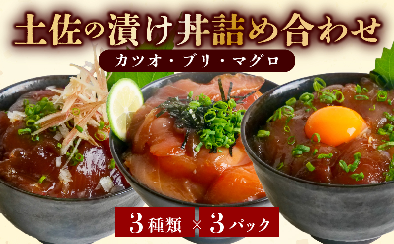 漬け丼 セット かつお まぐろ 天然 ぶり 各3袋 鰹 カツオ丼 鰹丼 鮪 鮪丼 マグロ丼 鉄火丼 鰤 ブリ丼 手軽 惣菜 おかず おつまみ つまみ 簡単調理 時短 簡単 便利 新鮮 魚 海鮮 魚介類 魚貝 お刺身 おさしみ 刺身 刺し身 ふるさと納税漬け丼 ふるさと納税海鮮丼 高知 高知県 黒潮町［1401-2］