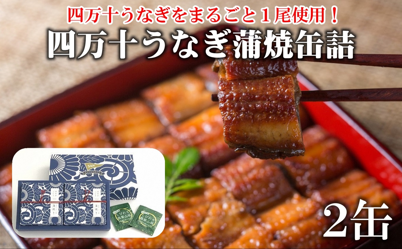 四万十うなぎ 缶詰 蒲焼 鰻 うなぎ かば焼き ウナギ缶 四万十産 蒲焼き缶詰 2缶セット 山椒付き 高知 魚 魚介類 海鮮 惣菜 常温保存 うなぎ缶 かば焼 缶づめ 保存食 防災 備蓄 非常食 ストック食品 ご飯のおかず うなぎセット 贅沢缶詰 国産うなぎ ご褒美 自宅用 ギフト［1421］