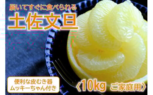 土佐文旦 10kg L〜3L ご家庭用 高知 黒潮町 文旦 ぶんたん 柑橘 フルーツ 果物 文旦10kg 家庭用文旦 大玉 小玉 サイズ統一 17〜25個 皮むき器 ムッキーちゃん付き 産地直送 文旦セット 柑橘類 旬 文旦 高知文旦 citrus 国産文旦 果物セット［1463-2］
