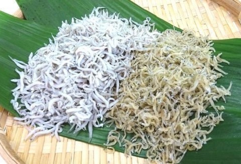 カネニの カチリ （80g）と ちりめん （150g）各5袋 ［1466-2］