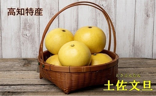 楽木工房 土佐 文旦 家庭用 10kg L 2L サイズ 土佐文旦 柑橘 みかん 果物 フルーツ 人気 ご家庭用 旬 爽やか 産地直送 期間限定 季節限定 ふるさと納税文旦 ふるさと納税柑橘 高知県 黒潮町［1513］