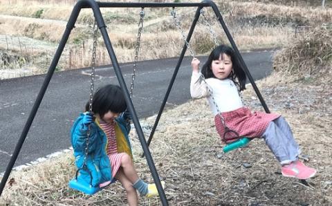 ブランコ 家庭用 2連式 ワイドタイプ ツヨニー ガーデニング 庭 アウトドア インテリア オブジェ お祝い プレゼント 簡単 組み立て 高知 高知県 黒潮町［(S)1590-2］