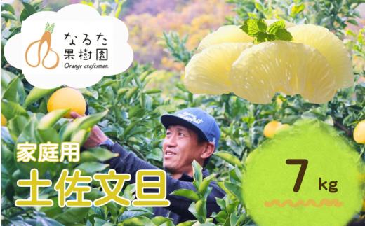 成田果樹園の土佐文旦 7kg (大玉・家庭用) 3L～5L 混合 成田果樹園 文旦7kg 3L 4L 5L 7キロ 大玉 文旦大玉 文旦4L 文旦5L 4l 5l  ぶんたん 文旦 柑橘 柑橘類 果物 フルーツ 文旦高知 高知文旦 高知 高知県 黒潮町 土佐 文旦 土佐文旦 文旦家庭用 家庭用 家庭用文旦 文旦黒潮町 文旦成田果樹園 成田果樹園文旦 冬文旦 春文旦 ［1686］