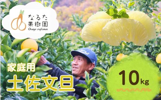 成田果樹園の土佐文旦 10kg (家庭用) L～4L 混合 成田果樹園 文旦10kg L 2L 3L 4L 10キロ 大玉 文旦大玉 文旦4L 3l 4l ぶんたん 文旦 柑橘 柑橘類 果物 フルーツ 文旦高知 高知文旦 高知 高知県 黒潮町 土佐 文旦 土佐文旦 文旦家庭用 家庭用 家庭用文旦 文旦黒潮町 文旦成田果樹園 成田果樹園文旦 冬文旦 春文旦 ［1687］