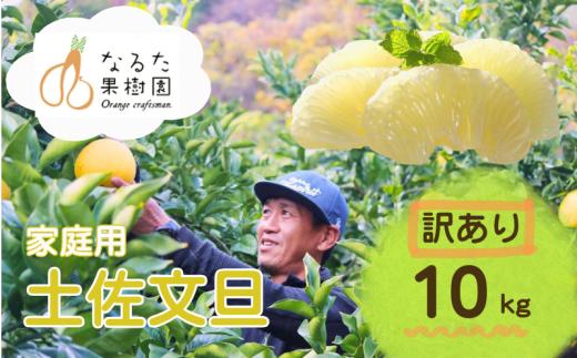 成田果樹園の土佐文旦 10kg (家庭用) 訳あり M～5L 混合 成田果樹園 文旦10kg L 2L 3L 4L 5L 10キロ 大玉 文旦大玉 文旦4L 3l 4l 5l ぶんたん 文旦 柑橘 柑橘類 果物 フルーツ 文旦高知 高知文旦 高知 高知県 黒潮町 土佐 文旦 土佐文旦 文旦家庭用 家庭用 家庭用文旦 文旦黒潮町 文旦成田果樹園 成田果樹園文旦 冬文旦 春文旦 ［1688］