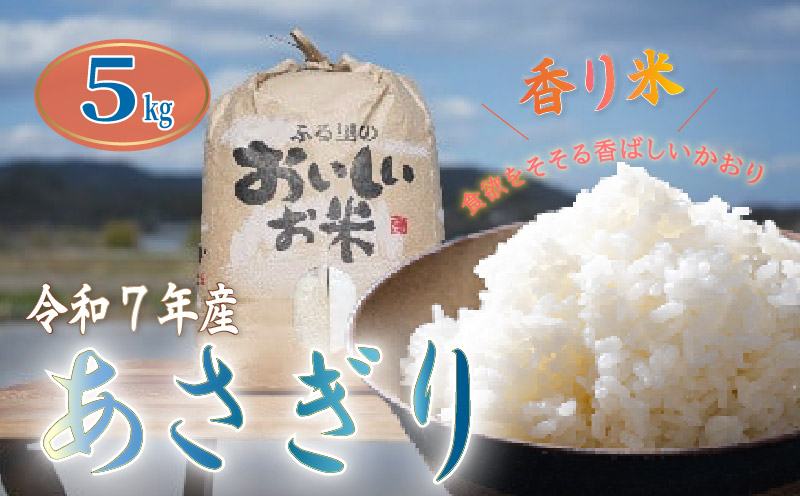 【 令和7年産 】 白米 5kg あさぎり 米 5キロ 香り米 精米 国産米 香米 おこめ アサギリ 空海ゆかりの里 うまにの おいしい お米 ふるさと納税米 ふるさと納税お米 2025年産 数量限定 期間限定 季節限定 高知 黒潮町 [1699] 5kg