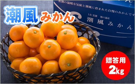 商標登録 潮風みかん 2kg 高知県 黒潮町産（ 贈答 用） ［1398］