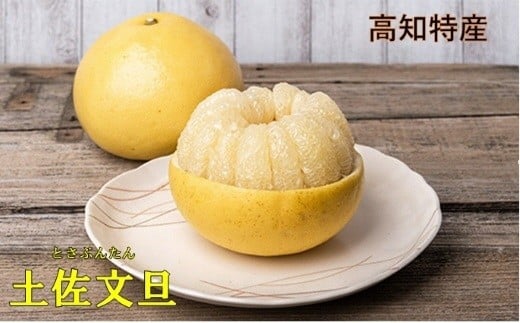 土佐文旦 10kg 3L〜4L ご家庭用 文旦 ぶんたん 柑橘 フルーツ 果物 サイズ混合 大玉 文旦10kg 高知 黒潮町 産地直送 旬 期間限定 季節限定 文旦セット 柑橘類  人気 家庭用文旦 食べ応え 12〜16個 楽木工房 文旦ギフト 高知 土佐 黒潮町［1406-2］