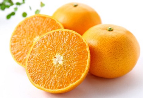 せとか 温室せとか 高級柑橘 セトカ Lサイズ 秀品 14個 約3kg 柑橘 果物 フルーツ みかん 蜜柑 高知 黒潮町 産地直送 柑橘類 オレンジ系 濃厚 ジューシー 旬 期間限定 数量限定 季節限定 人気 柑橘ギフト ご家庭用 フルーツセット 国産 せとか3kg［1429-2］