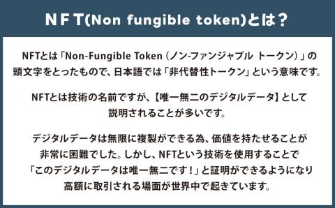 【限定100件】 北九州市 デザイン マンホール NFT (ていたん＆小倉城) NFTアート ご当地マンホール 【Big Hat Monkeys】