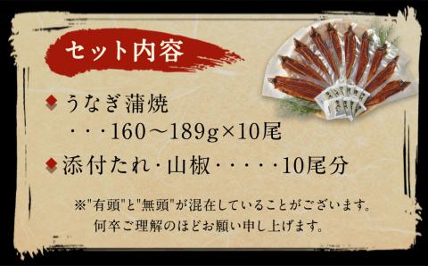 鰻天屋の九州産うなぎ 蒲焼 10尾 セット (1尾あたり160～189g)