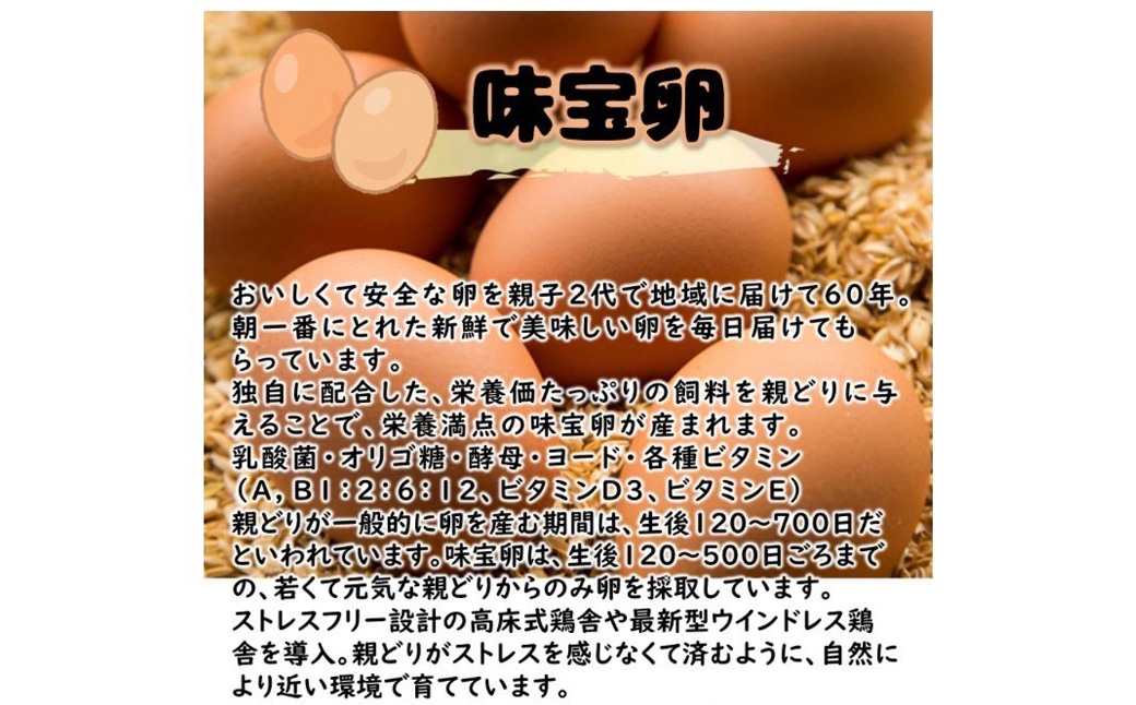 【配達指定日必須】本城 ぷりん 9個入り 濃厚 なめらか