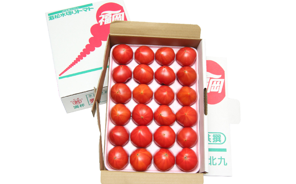 【期間限定】 若松水切りトマト 1.2kg 程度（16～30玉）【2025年4月上旬～5月下旬発送予定】糖度9度基準 野菜 生野菜 新鮮 国産 とまと トマト
