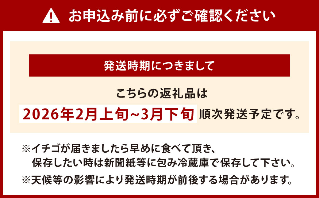 【栽培期間中農薬不使用】天姫（あまひめ）イチゴ 200g×4パック 合計800g【2026年2月上旬～3月下旬発送予定】いちご 苺 フルーツ 果物 くだもの 福岡県 北九州市