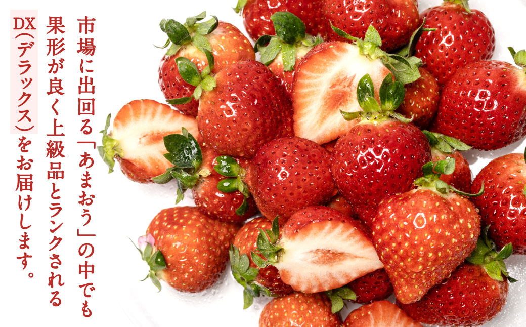 福岡県産特産品 うまもぐ厳選果物 福岡県産 博多あまおう DX上級品 約1.5kg（約250g×6パック入り）【2026年2月上旬-3月上旬発送】あまおう いちご 苺 イチゴ 果物 フルーツ