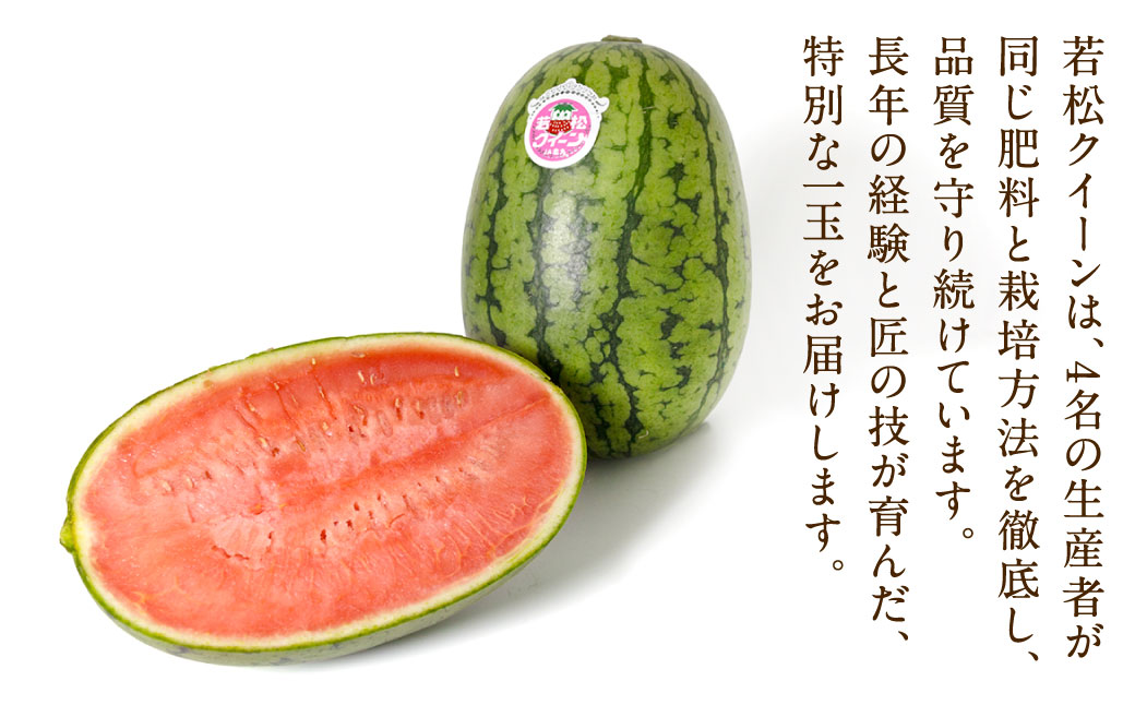 福岡県 北九州市 若松産【優等品】若松クイーン 10kg以上（2kg以上3玉入り～4玉入り）【2026年7月上旬から8月上旬発送予定】すいか スイカ フルーツ 果物 くだもの